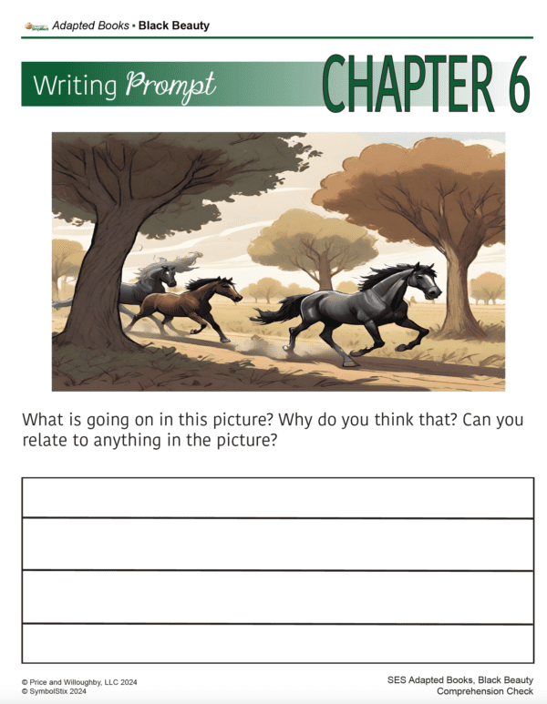 Adapted Book - Black Beauty - Image 6